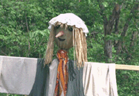 Picture of a Scarecrow